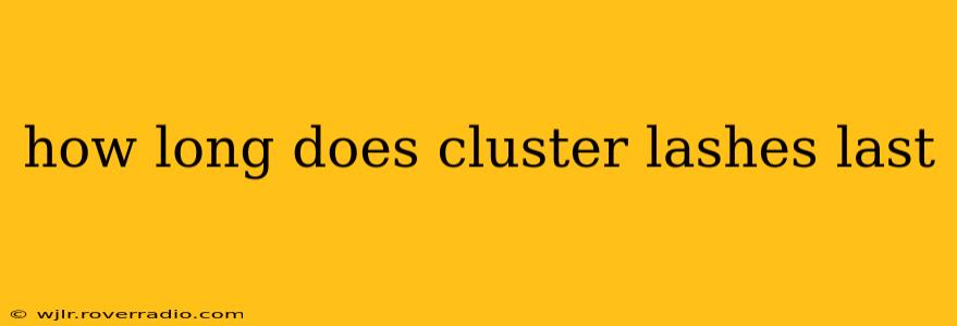 how long does cluster lashes last