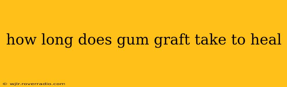 how long does gum graft take to heal