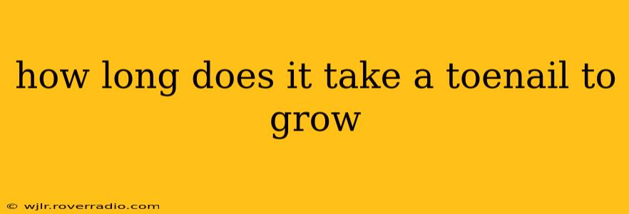 how long does it take a toenail to grow