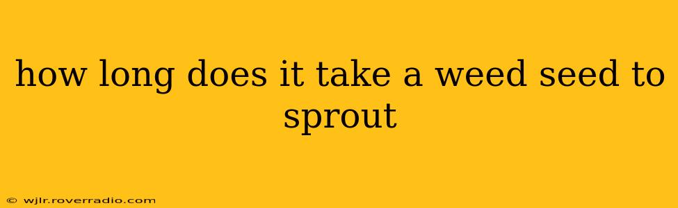 how long does it take a weed seed to sprout