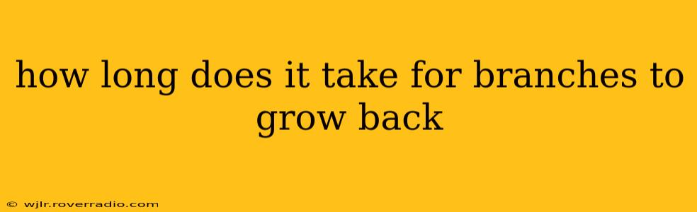 how long does it take for branches to grow back