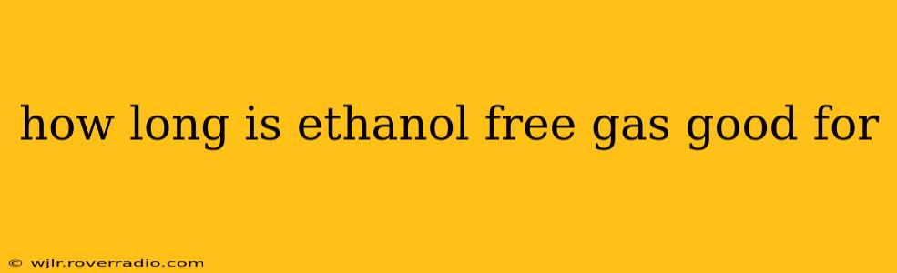 how long is ethanol free gas good for