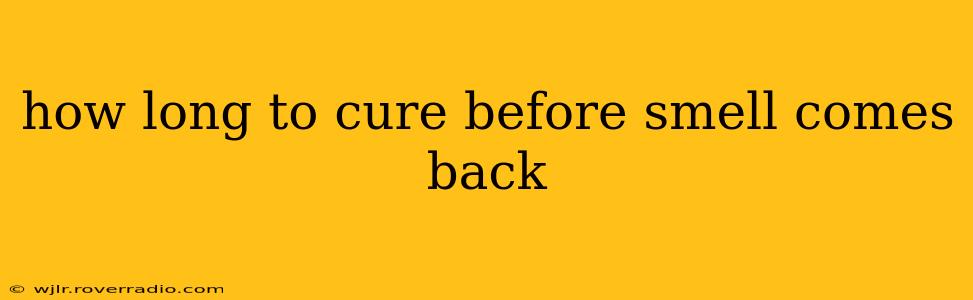 how long to cure before smell comes back