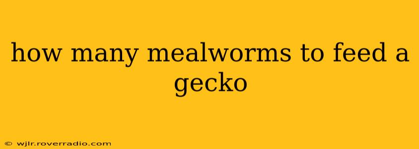 how many mealworms to feed a gecko