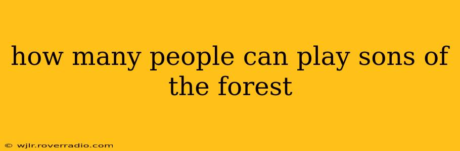 how many people can play sons of the forest
