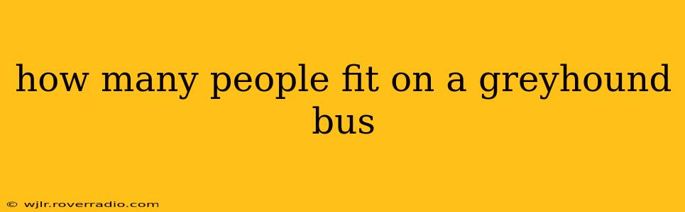 how many people fit on a greyhound bus