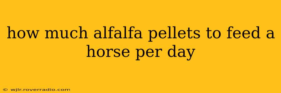 how much alfalfa pellets to feed a horse per day