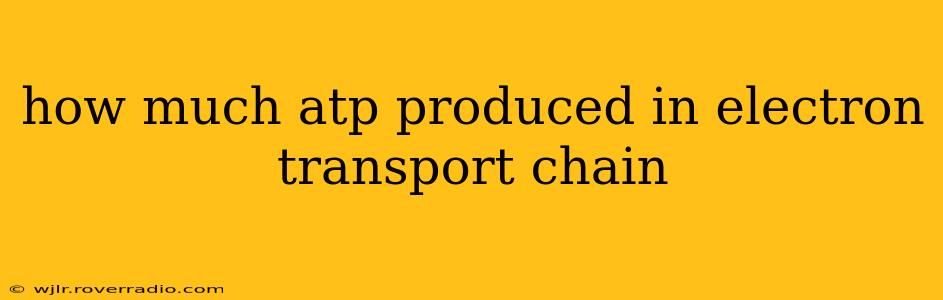 how much atp produced in electron transport chain