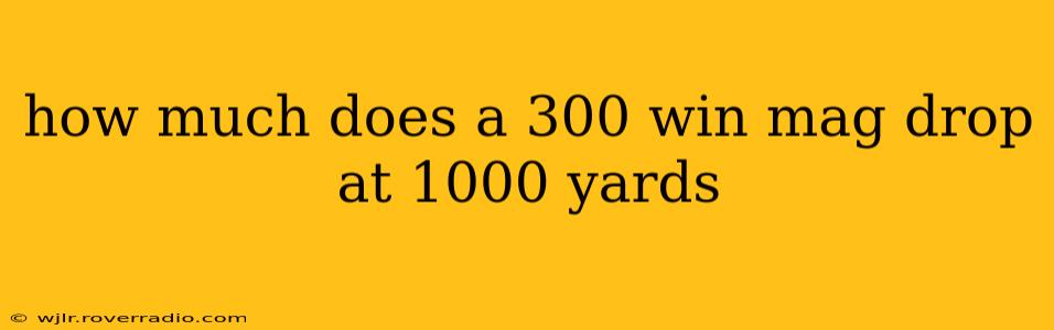 how much does a 300 win mag drop at 1000 yards