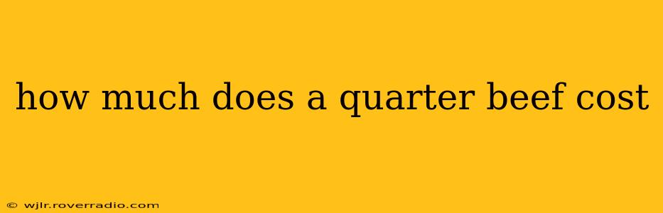 how much does a quarter beef cost