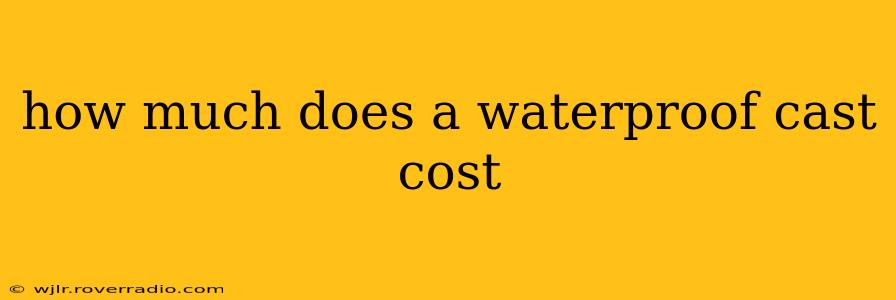 how much does a waterproof cast cost