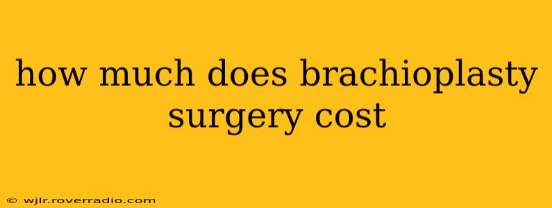 how much does brachioplasty surgery cost