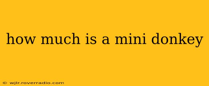 how much is a mini donkey