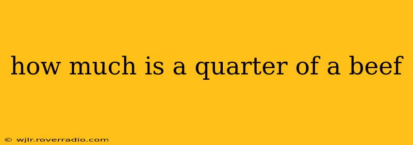 how much is a quarter of a beef