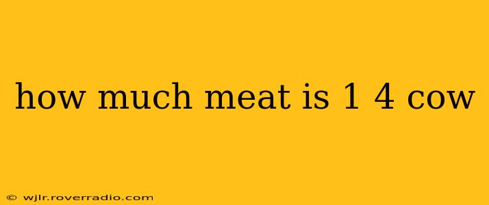 how much meat is 1 4 cow