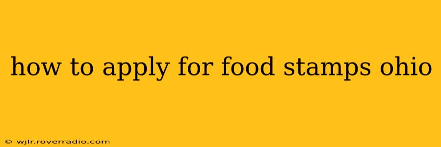 how to apply for food stamps ohio