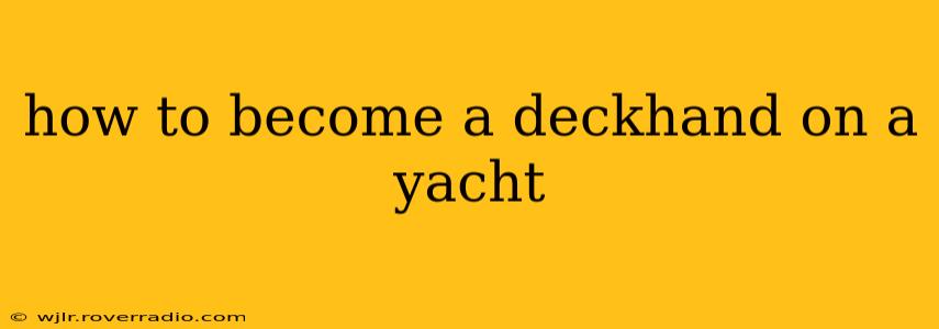 how to become a deckhand on a yacht