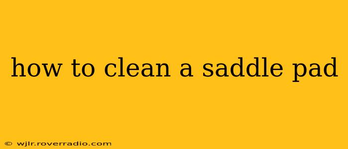 how to clean a saddle pad