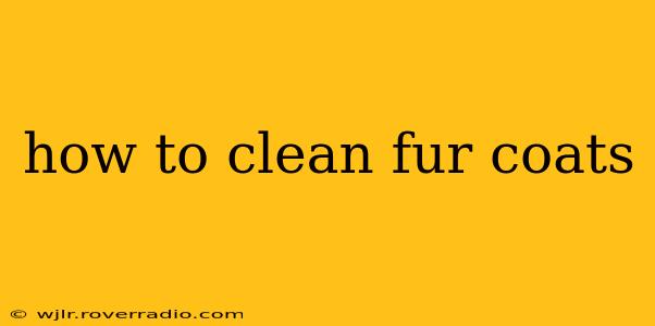 how to clean fur coats
