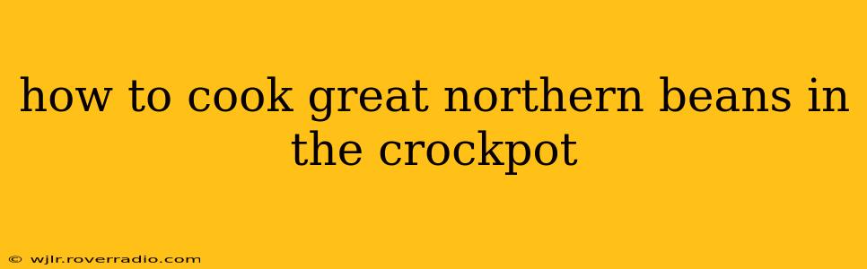 how to cook great northern beans in the crockpot