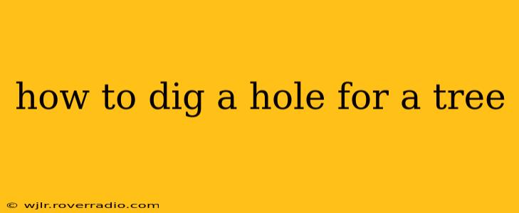 how to dig a hole for a tree