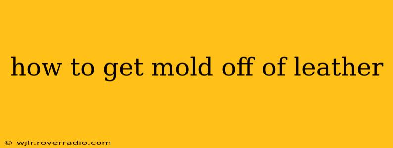 how to get mold off of leather