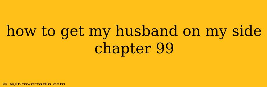 how to get my husband on my side chapter 99