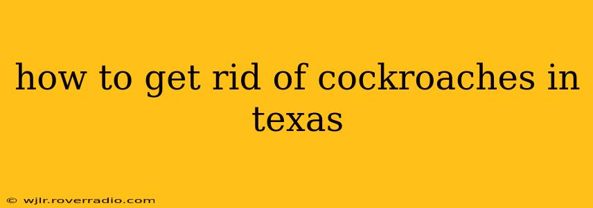 how to get rid of cockroaches in texas