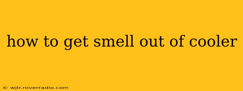 how to get smell out of cooler