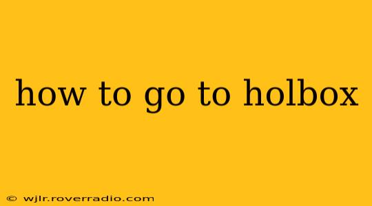 how to go to holbox