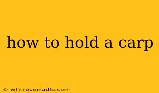 how to hold a carp