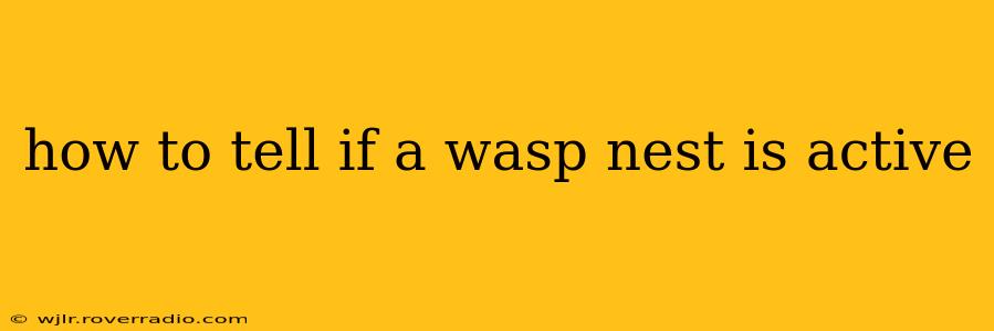 how to tell if a wasp nest is active
