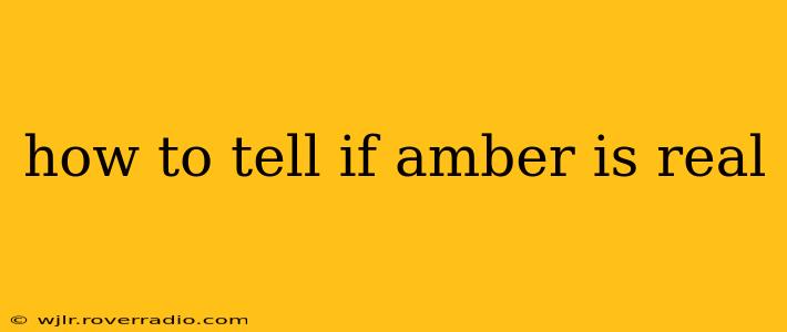how to tell if amber is real