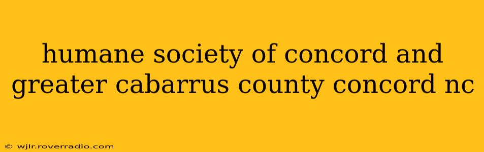 humane society of concord and greater cabarrus county concord nc