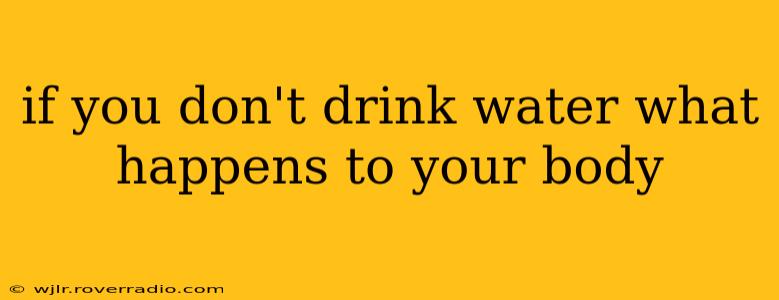 if you don't drink water what happens to your body