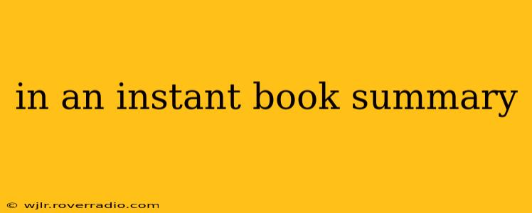in an instant book summary
