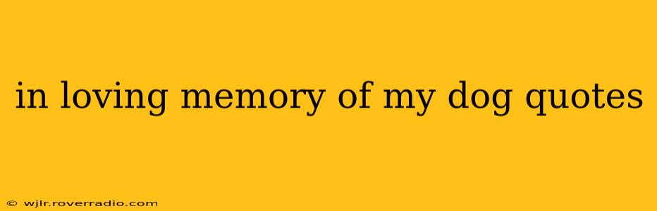 in loving memory of my dog quotes