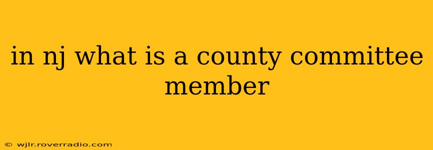 in nj what is a county committee member