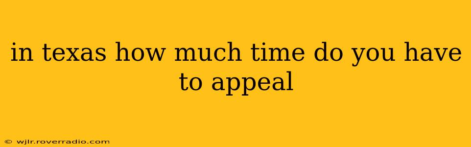 in texas how much time do you have to appeal