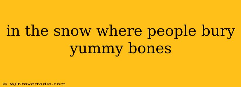 in the snow where people bury yummy bones