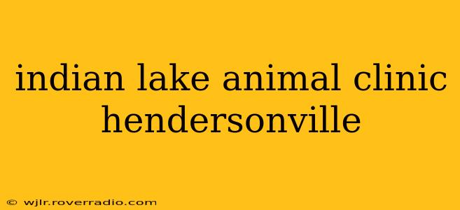 indian lake animal clinic hendersonville