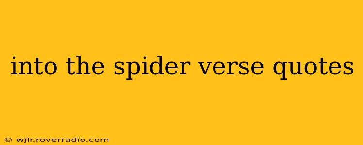 into the spider verse quotes