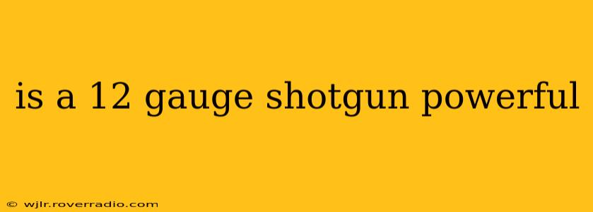 is a 12 gauge shotgun powerful