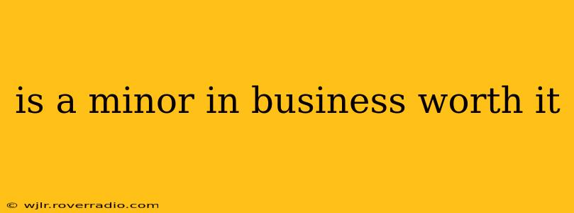 is a minor in business worth it