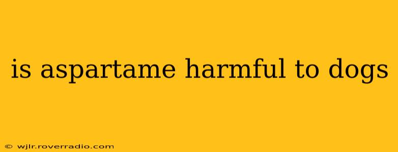is aspartame harmful to dogs