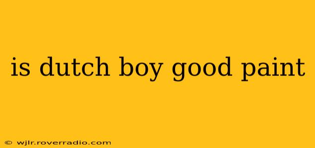 is dutch boy good paint