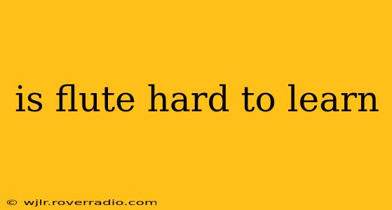 is flute hard to learn