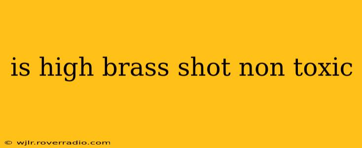 is high brass shot non toxic