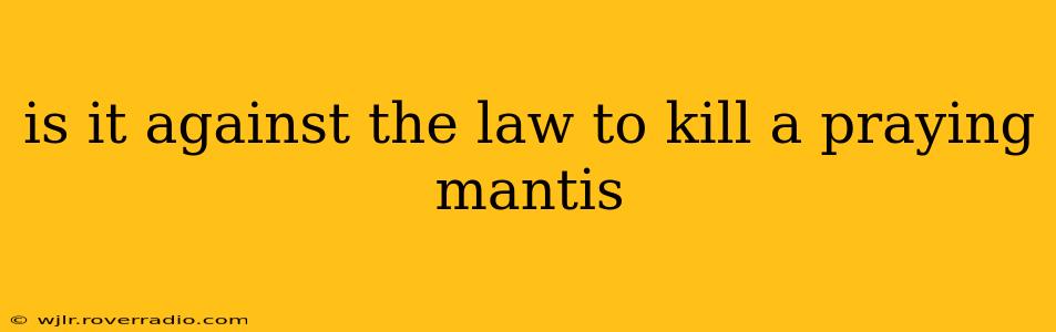 is it against the law to kill a praying mantis