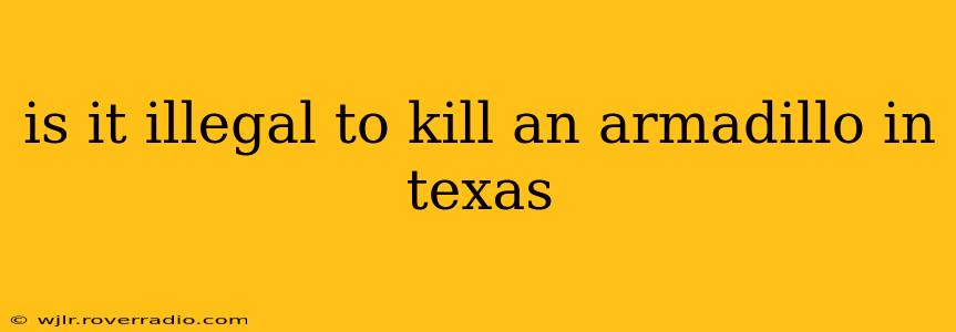 is it illegal to kill an armadillo in texas